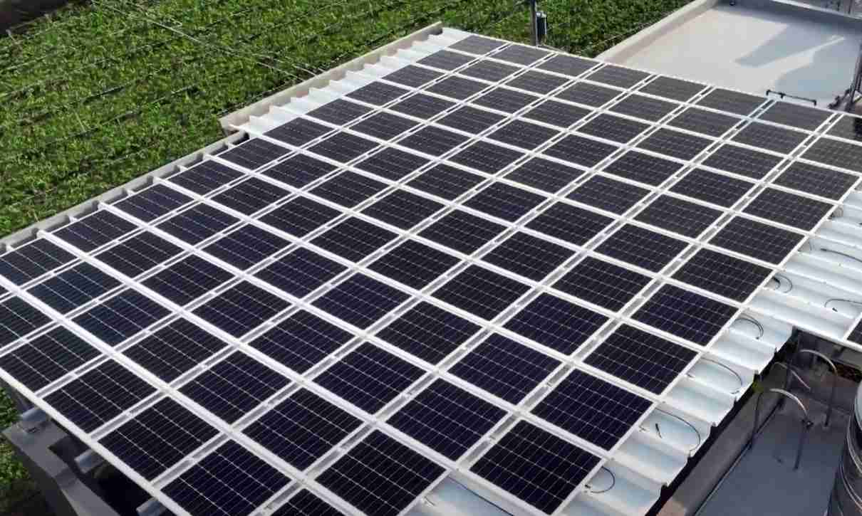 传奇国际SunSteel光电浪板升级双玻结构，，，以提升机械负载强度及气候耐候度，，可广泛运用于多元场域